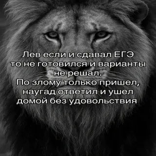 🤓 Лев если и сдавал ЕГЭ
то не готовился и варианты
не решал.
По злому только пришел,
наугад ответил и ушел
домой без удовольствия león, animal, texto, ruso, EGE telegram sticker