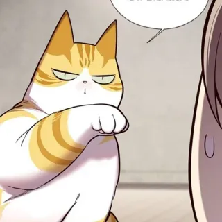 🥜 cat, animal, cartoon, cute, domestic telegram sticker