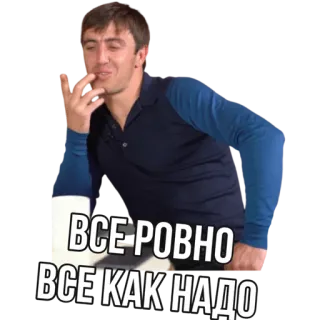 🤙 ВСЕ РОВНО
ВСЕ КАК НАДО 俄语, 文本, 短语, 男人 telegram sticker