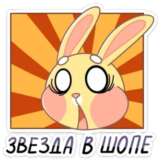 😳 ЗВЕЗДА В ШОПЕ rabbit, star, funny, cute, expression telegram sticker