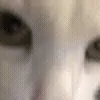 🙄