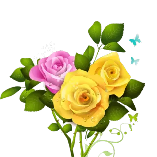 💐 розы, цветы, розовая роза, жёлтая роза, бабочки, цветы telegram sticker