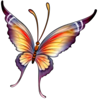 🦋 borboleta, inseto, colorido, asas, natureza, adesivo telegram sticker