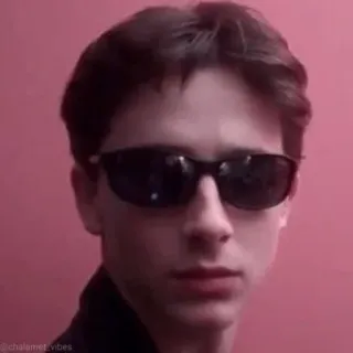 😎 @chalamet.vibes тимоти шаламе, актер, знаменитость, солнцезащитные очки, портрет whatsapp sticker