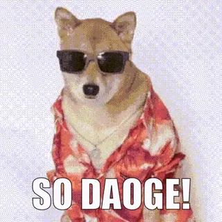 🕶 SO DAO GE! doge, pies, mem, śmieszne, fajne, okulary przeciwsłoneczne, czerwona koszulka telegram sticker