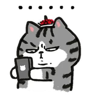 🙄 mèo, động vật, hoạt hình, nhãn dán telegram sticker