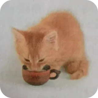 🐱 telegram sticker