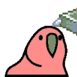 🦜 bird, parrot, cute, animal telegram sticker
