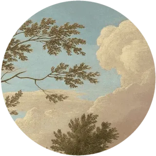 🤗 Bäume, Landschaft, Wolken, Himmel, Natur, Szenerie whatsapp sticker