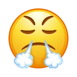 😤