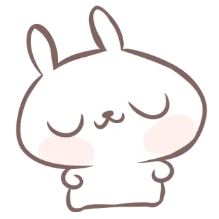 😌 coelho, coelhinho, fofo, kawaii, animal telegram sticker
