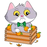 🍊 Katze, Orangen, süß, Cartoon, Tier, Kiste, Frucht whatsapp sticker