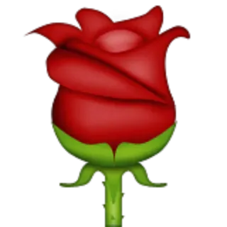 🌹 роза, цветок, красный, природа, растение, любовь telegram sticker