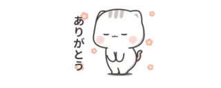 👑 ありがとう 고양이, 감사합니다, 귀여운, 카와이, 일본어 whatsapp sticker