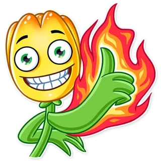 👍 bunga, nyala api, api, emoji, kartun, jempol ke atas, positif, bahagia whatsapp sticker