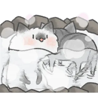 🚿 kat, dier, schattig, huisdier, kitten, illustratie whatsapp sticker