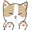 🐾