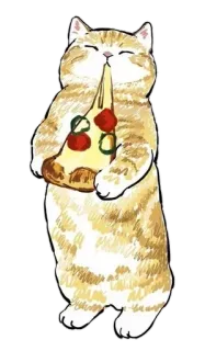 🍕 gato, pizza, lindo, comida, animal, mascota, dibujos animados whatsapp sticker