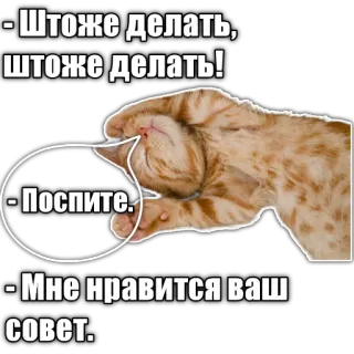 🥱 - Штоже делать,
штоже делать!
- Поспите.
- Мне нравится ваш
совет. cat, sleep, advice, russian telegram sticker