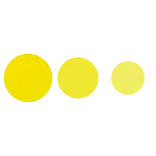 🟡