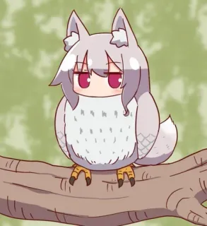 🦉 Anime, Chouette, Oiseau, Animal, Mignon, Dessin animé telegram sticker