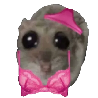 👙 whatsapp sticker