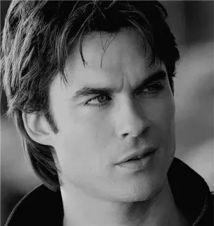 💉 Damon Salvatore The Vampire Diaries 演员, 吸血鬼, 肖像, 伊恩·萨默海尔德, 电视剧, 角色 telegram sticker