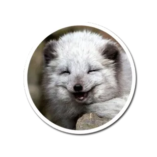 ennergiia_front whatsapp stickers