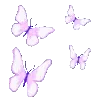 🦋
