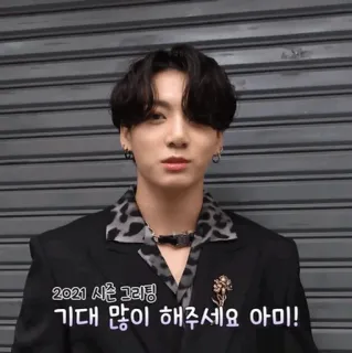🕸 Jungkook 2021 시즌 그리팅 기대 많이 해주세요 아미! K-pop, BTS, Jungkook, Idol, Season's Greetings, Coreano telegram sticker