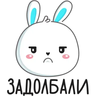 😠 F*** YOU Hase, anstößig, Hasenaufkleber, Cartoon, süß, Schimpfwort telegram sticker