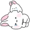 🐇