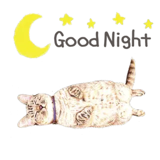 😴 고양이, 자는, 달, 별, 밤, 동물, 귀여운 telegram sticker