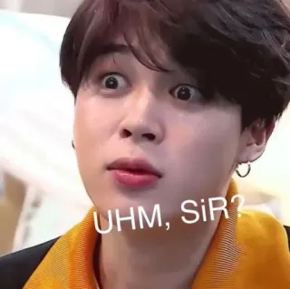 👀 UHM, SIR? kpop, uhm sir, funny, meme, reaction, park jimin, bts telegram sticker