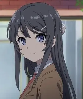 🙂 Mai Sakurajima Rascal Does Not Dream of Bunny Girl Senpai Anime, Ragazza, Sakurajima, Mai, Bunny Girl Senpai, Waifu telegram sticker