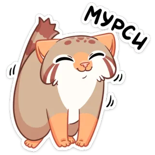 😊 Мурси gato, lindo, animal, pegatina telegram sticker