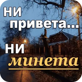 🙅‍♀️ НИ привета... НИ минета língua russa, ofensivo, gíria telegram sticker