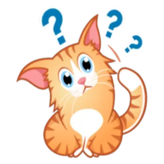❓ 고양이, 질문, 혼란스러움, 귀여운, 주황색, 스티커 telegram sticker