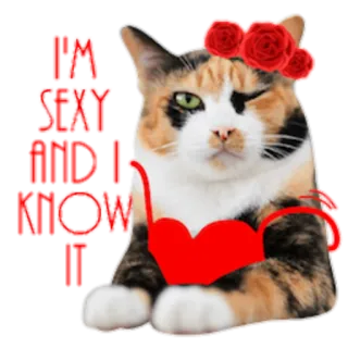 ❤️ I'M SEXY AND I KNOW IT cat, sexy, funny, cute, roses, humor telegram sticker