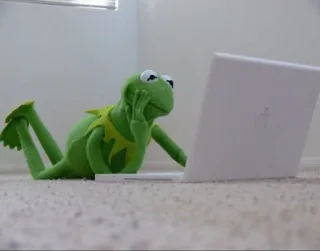 🙁 Kermit kermit the frog, puppet, laptop, thinking, meme telegram sticker