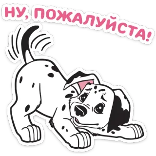 🙏 НУ, ПОЖАЛУЙСТА! Hund, Dalmatiner, süß, Welpe, Tier, Cartoon telegram sticker