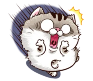 😨 cat, shocked, cartoon, animal, sticker telegram sticker