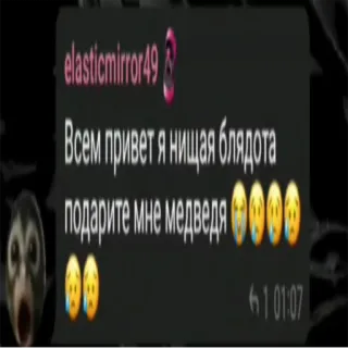 🧸 Всем привет я нищая блядота подарите мне медведя 🥺🥺🥺🥺🥺🥺 russo, testo, richiesta, elemosina, offensivo telegram sticker