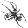 🕷