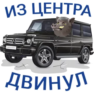 🚧 ИЗ ЦЕНТРА
ДВИНУЛ car, boar, Mercedes G-Class, off-road vehicle, animal telegram sticker