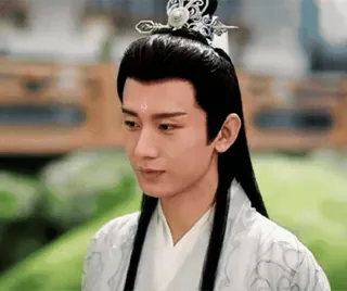 😊 homme, acteur, chinois, asiatique, traditionnel, portrait telegram sticker