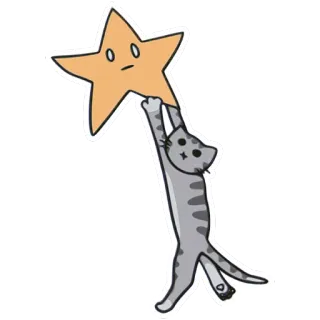 ⭐️ gatto, stella, cartone animato, carino, animale telegram sticker
