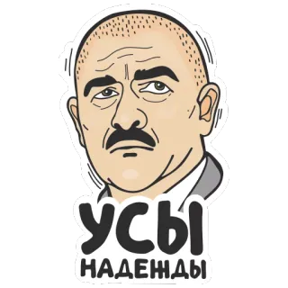🙏 УСЫ НАДЕЖДЫ mustache, hope, man, russian, sticker telegram sticker