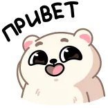 👋 zwierzę, niedźwiedź, słodki, kreskówka, naklejka telegram sticker