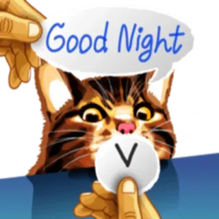 😴 Good Night кот, спокойной ночи, стикер, животное, сон, милый whatsapp sticker